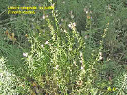 wp02930be8_1b.jpg