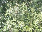 wp02d4267e_1b.jpg