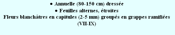 wp03454cb9.png