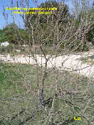 wp03fd085d_1b.jpg