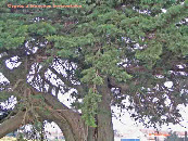 wp05a10d76_1b.jpg