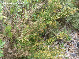 wp0a976ae5_1b.jpg