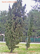 wp0c4dd740_1b.jpg