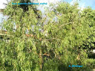 wp1185b534_1b.jpg