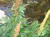 wp13412056_1b.jpg