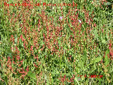 wp156be5e5_1b.jpg