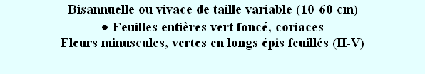 wp1eb647f3.png
