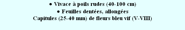 wp22bd994f.png