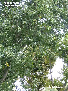 wp23d08835_1b.jpg