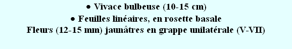wp27487dbc.png