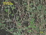 wp300559aa_1b.jpg