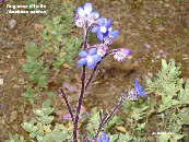wp3147b4df_1b.jpg