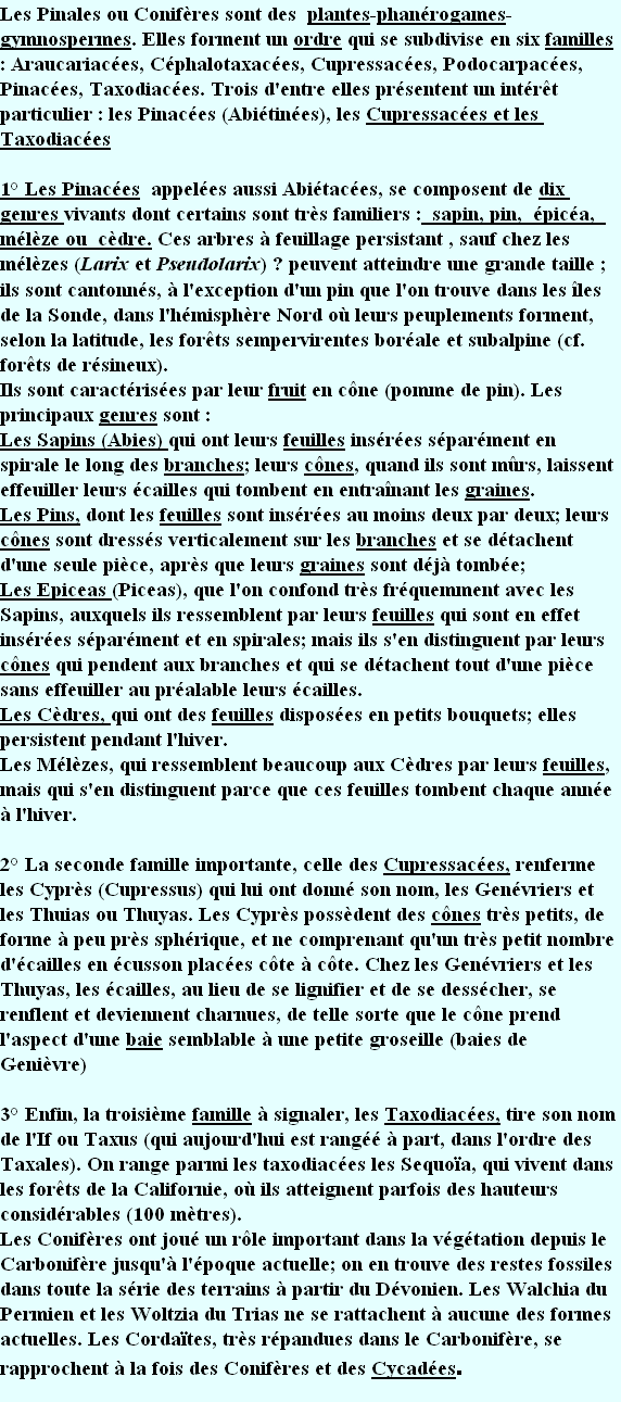 wp32679b3b.png