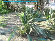 wp33e87821_1b.jpg