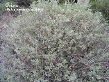 wp34429e98_1b.jpg