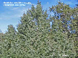 wp415d3515_1b.jpg