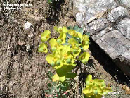 wp42b7921c_1b.jpg