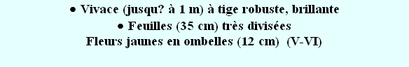 wp456a6084.png