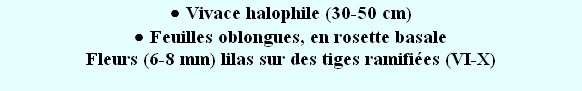 wp45b7c466.png