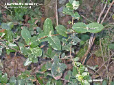 wp46045633_1b.jpg