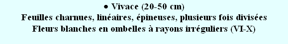 wp4a8ffda1.png