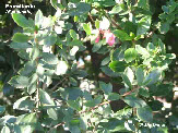 wp4ee08679_1b.jpg
