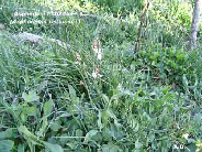 wp5249e02e_1b.jpg