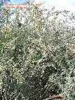 wp53d81109_1b.jpg