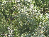 wp54553811_1b.jpg