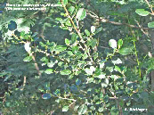 wp5896c825_1b.jpg
