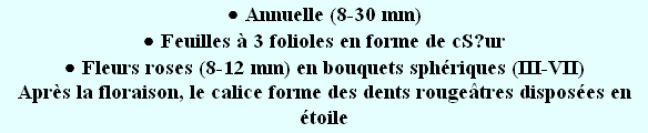 wp58a235eb.png