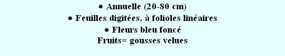 wp597049e2.png