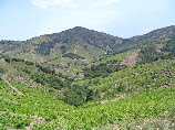 wp612815ee_1b.jpg