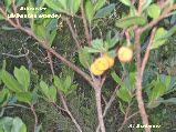 wp67276b5a_1b.jpg