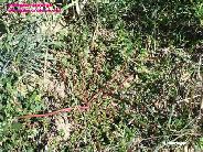 wp6e272f7d_1b.jpg