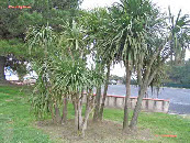 wp6f8aab6a_1b.jpg