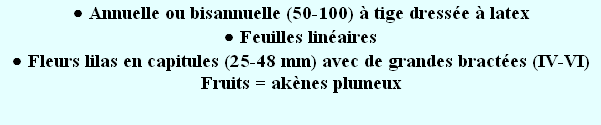 wp6ffc627f.png