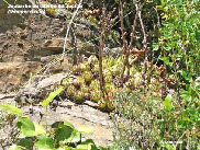wp77cdf028_1b.jpg