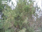 wp787ae5a3_1b.jpg
