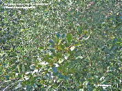 wp79acae42_1b.jpg