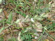 wp7c5470ba_1b.jpg