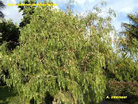 wp7c59ad01_1b.jpg