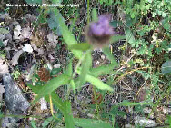 wp7f022211_1b.jpg