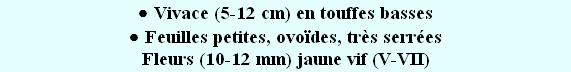 wp891893c5.png