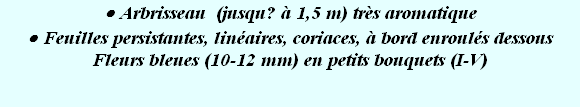 wp8e801aa6.png
