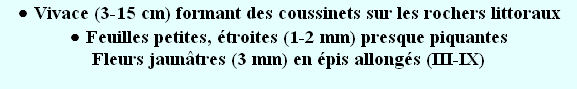 wp9c484e29.png