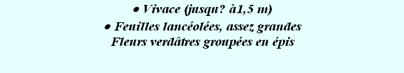 wpa21da5b3.png