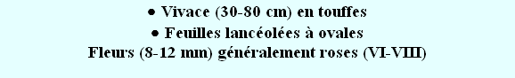 wpa7084eec.png