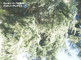 wpa7cdd093_1b.jpg