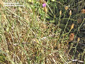 wpaa653999_1b.jpg